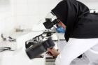 Iran rangiert in der weltweiten Wissenschaftproduktion auf Platz 15 